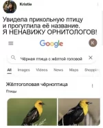 1775808376.webp