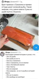 1775895095.webp