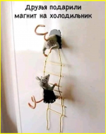 image - 2026-01-23T060906.410.png