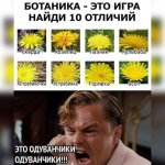 yeto-oduvanchiki_69821.jpg