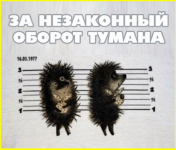 image (3202).png