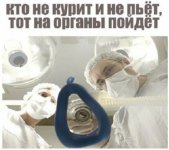 kto-ne-kurit-i-ne_79355.jpg