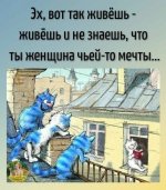 tIdd0AjLo62M5bppk-b6diPxinb2NtSvg-WlZVnRnqgk2V1v0AH00T2SAiQt_Yfv1qzABg52IAzJkAmFYDfcDXxv.jpg