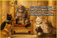 image (4447).png