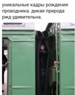 74786054_original.jpg