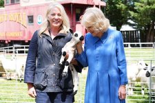 gettyimages-2273263393-612x612.jpg