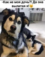 1777347902195.webp