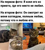 1774115012780.webp