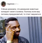 1765521045485.webp