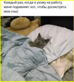 image (2448).png