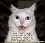 image (2461).png