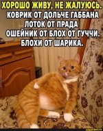 b41e4e7675ba484c4f382b398f79d3fa639da403712456579553f64a97efba2d_1.jpg