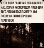 74967384_original.jpg