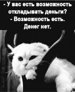 1778180175_3.jpg