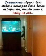 1778180178_10.jpg