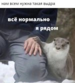 1778180215_14.jpg
