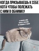 1778091881_40.jpg