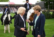 gettyimages-2274534110-612x612.jpg