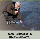 image (2825).png
