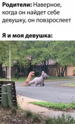 prikoly_41749.jpg