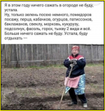 image (2899).png