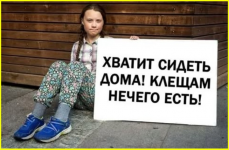 image (3023).png