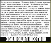 image (3334).png