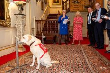 gettyimages-2275240325-612x612.jpg
