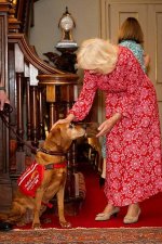 gettyimages-2275240445-612x612.jpg