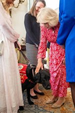 gettyimages-2275240554-612x612.jpg