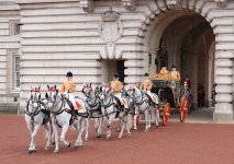 gettyimages-2275418750-612x612.jpg