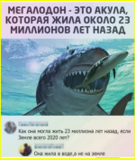 image (3410).png