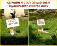 image (3419).png