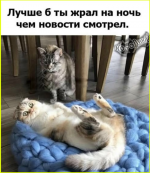 image (3491).png