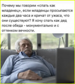 image (3504).png