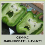 image (3496).png