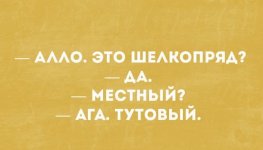 IMG_6985.jpeg
