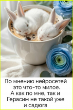 image (3776).png