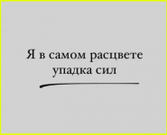 image (3864).png
