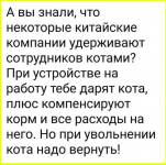 image (3863).png