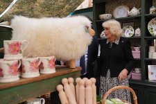gettyimages-2276415206-612x612.jpg