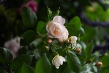 gettyimages-2276401294-612x612.jpg