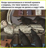 image (4335).png