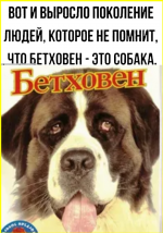 image (4343).png