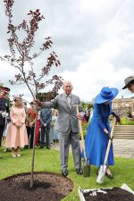 gettyimages-2277291062-612x612.jpg