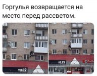 75251468_original.jpg