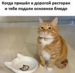 1749501911_21.jpg