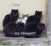 77_123.jpg