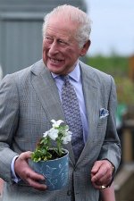 gettyimages-2276837264-612x612.jpg
