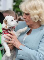 gettyimages-2277464801-612x612.jpg